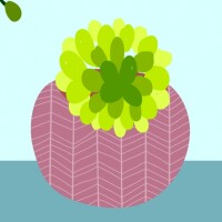 Tactful cactus
