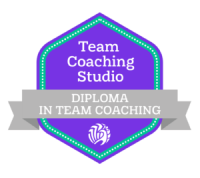 Team coaching studio