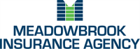 Meadowbrook insurance group