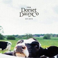 The dorset dairy co