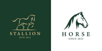 The horse and stables