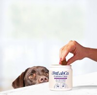 The petlab co.