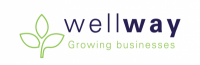 Wellway accountants