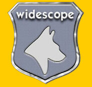 Widescope security services ltd