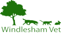 Windlesham village vets