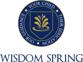 Wisdom spring education