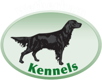 Wetherham kennels