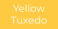 Yellow tuxedo