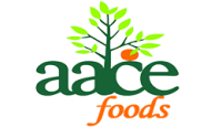 Aace ltd