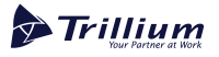 Trillium staffing solutions