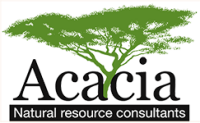 Acacia uk