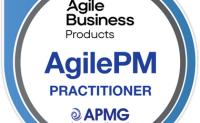 Agile programmes ltd