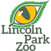 Lincoln park zoo