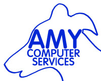 Amy computer boost limited