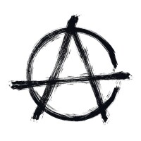 Mysterious anarcho vectors