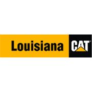 Louisiana cat