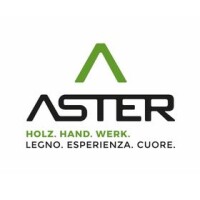 Aster holzbau gmbh