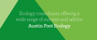 Austin foot ecology