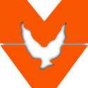 Mountain view school district