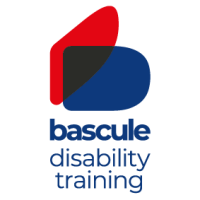 Bascule disability training