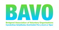 Bridgend association of voluntary organisations (bavo)