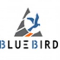 Blue bird capital markets limited
