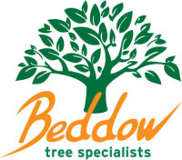 Beddow tree specialists