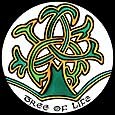 Beverley gallagher of celtic glass designs