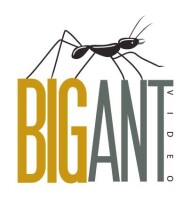 Big ant video