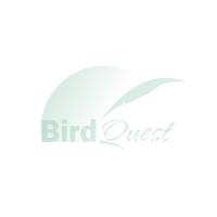 Birdquest