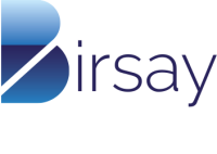 Birsay consulting ltd