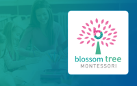 Blossom tree montessori school