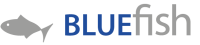 Bluefish global payroll solutions