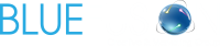 Bluefusion creative internet solutions