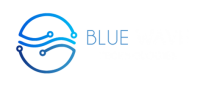 Blue wave informatics llp