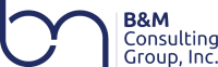 Bm consulting plc