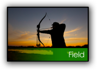 Border archery limited
