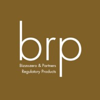 Brp bizzozero & partners sa