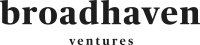 Broadhaven consulting