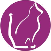 Broadlands cattery