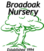 Broadoak childrens nursery association