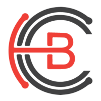 Brownspider it services