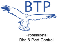 Btp environmental services ltd