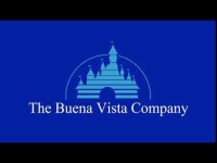 Buena vista management consultants llp