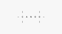 Canoo holdings