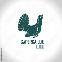 Capercaillie escapes