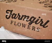 Cardboard inc.