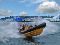 Cardiff sea safaris