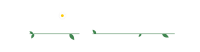 Caring forever limited