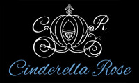 Cinderella bridal shop
